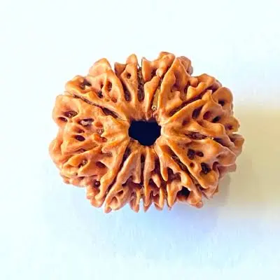 डाऊझिंग पेंडुलम