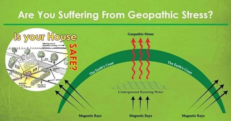 यज्ञाची प्रमुख अंगे