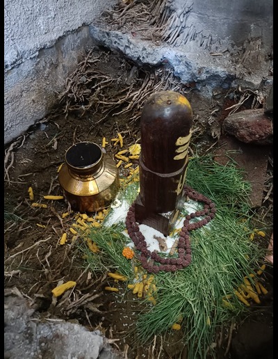 नवचंडी यज्ञ कर्म