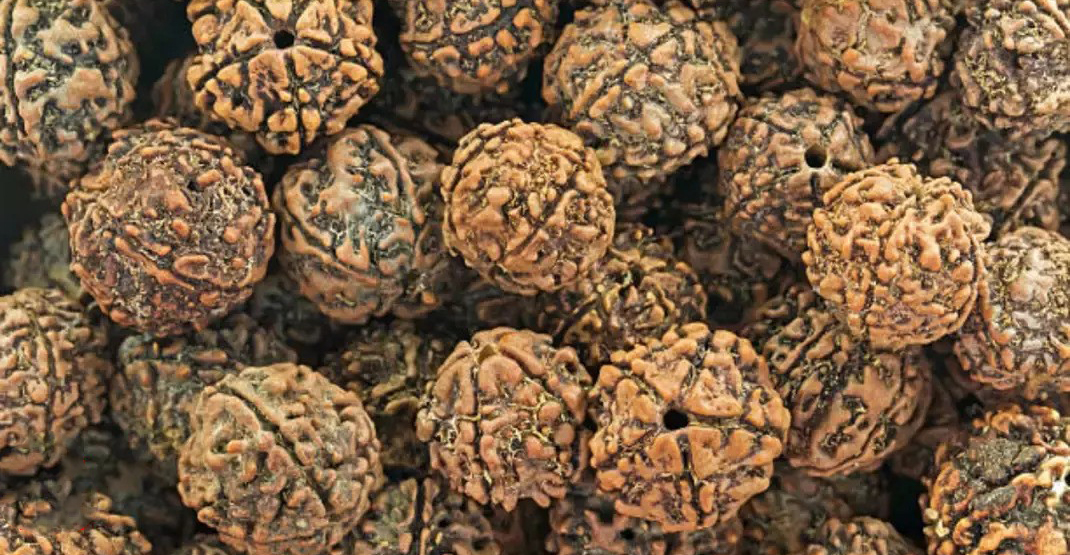 डाऊझिंग पेंडुलम